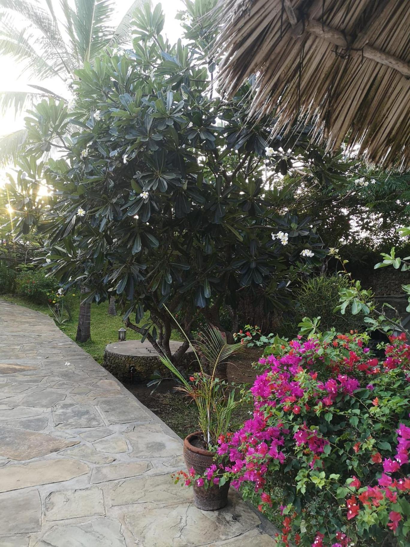 Fulvia House Villa Malindi Buitenkant foto